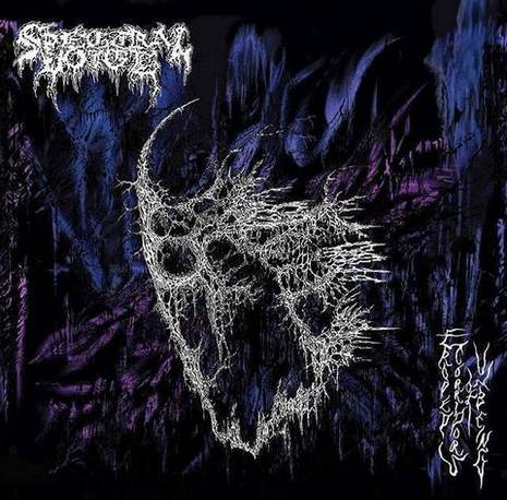 spectral voice – eroded corridors of unbeing