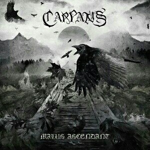 carpatus – malus ascendant