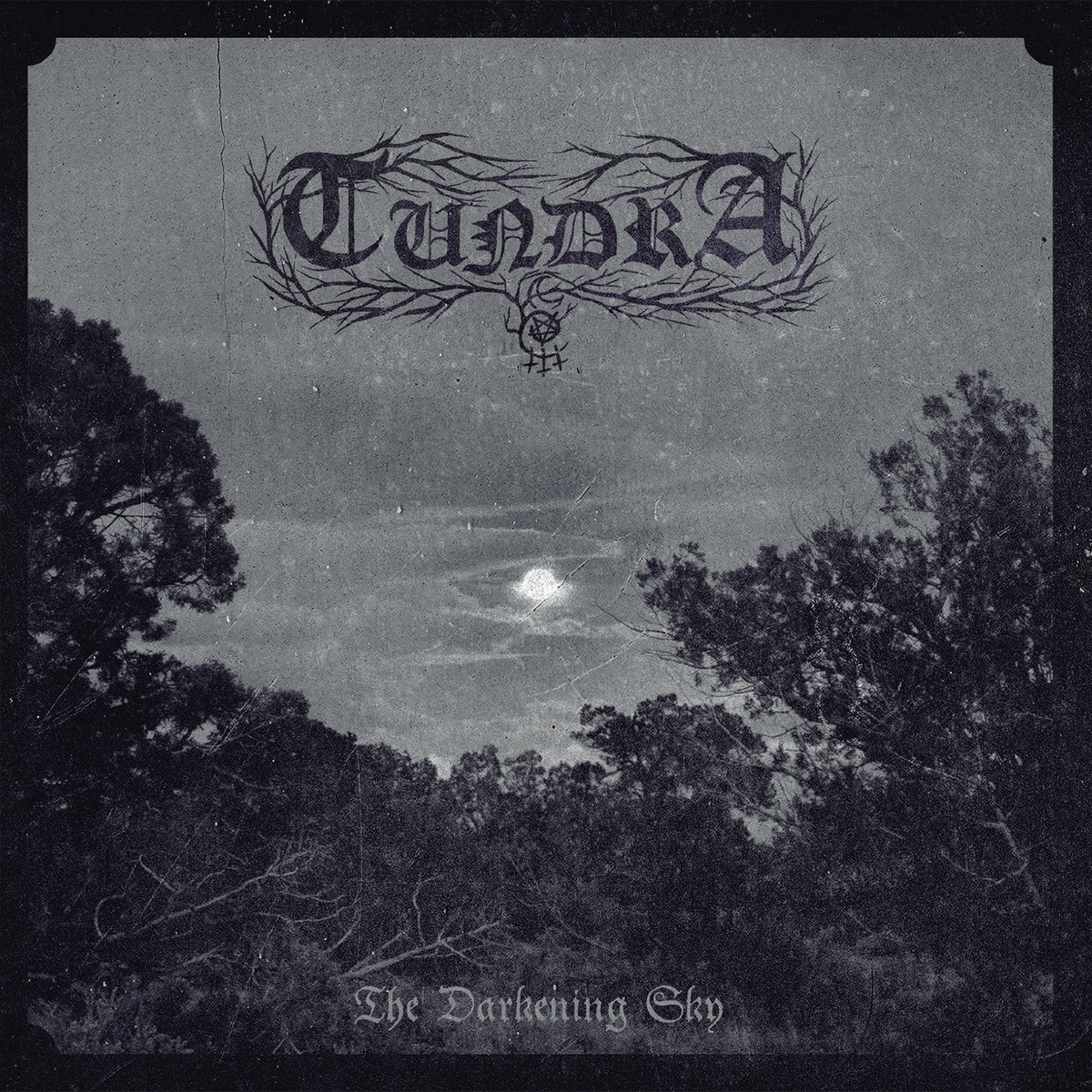 tundra – the darkening sky