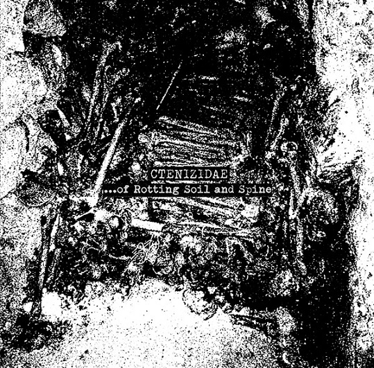 ctenizidae – .​.​.​of rotting soil and spine [demo]
