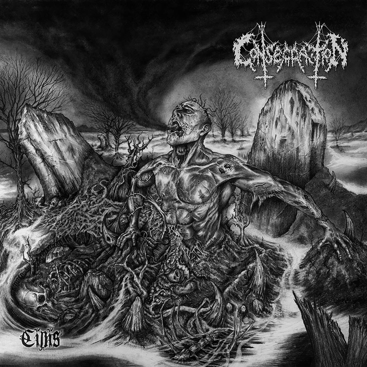 consecration – cinis