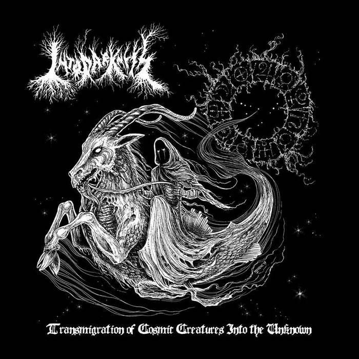 into darkness – transmigration of cosmic creatures into the unknown [ep]