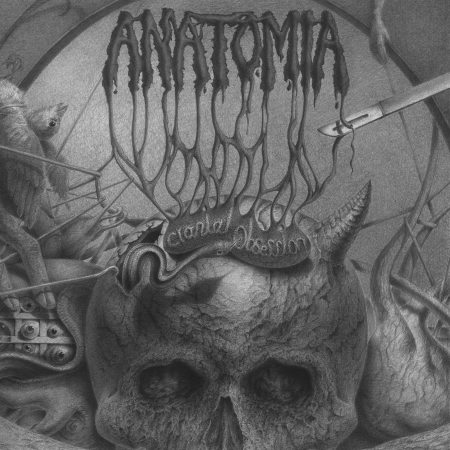 anatomia – cranial obsession