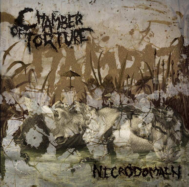 chamber of torture – necrodomain