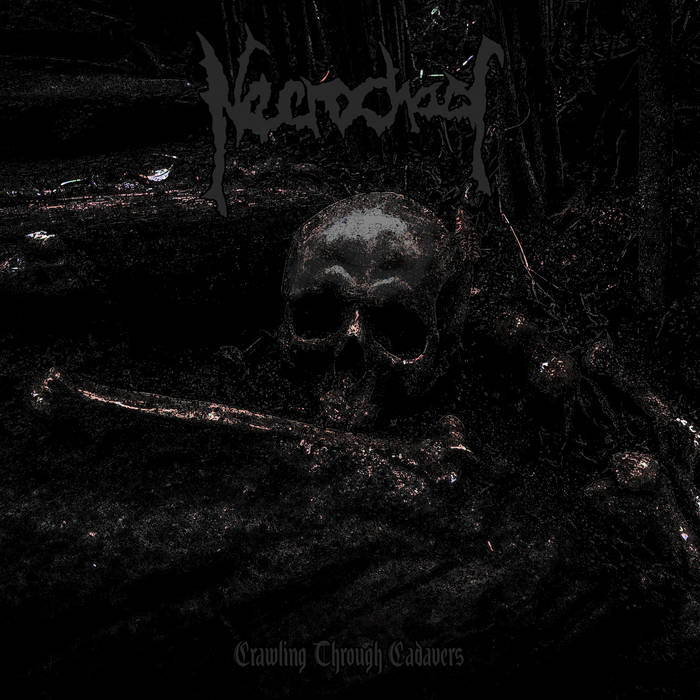 necrochaos – crawling through cadavers [demo]