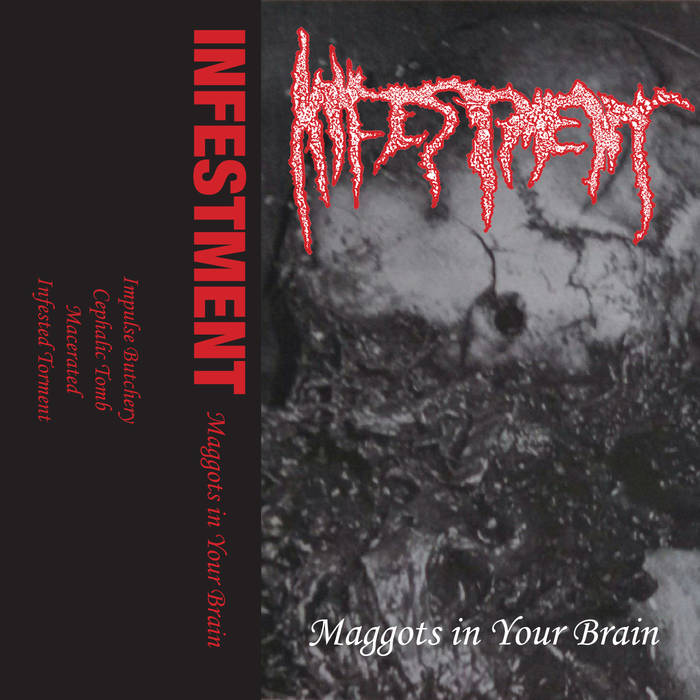 infestment – maggots in your brain [demo]