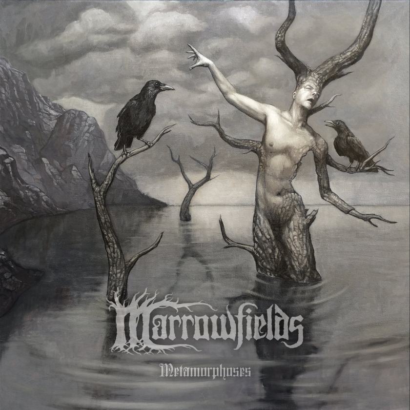 marrowfields – metamorphoses