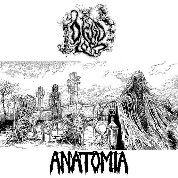 druid lord / anatomia – beyond putrefaction / horrid fate [split]