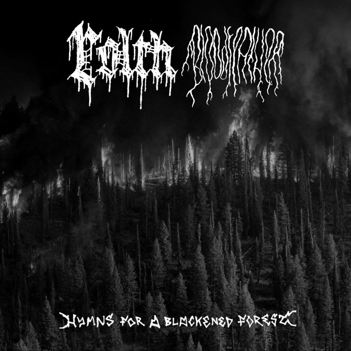 lolth / bloodfeather – hymns for a blackened forest [split]
