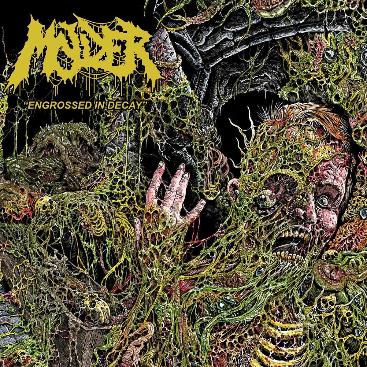 molder – engrossed in decay