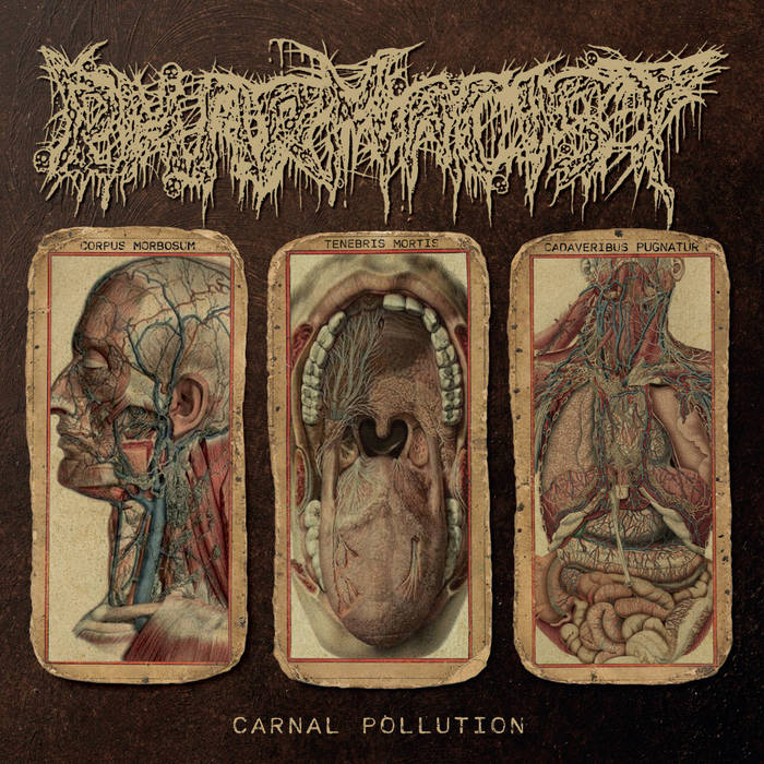 pharmacist – carnal pollution [ep / re-release]
