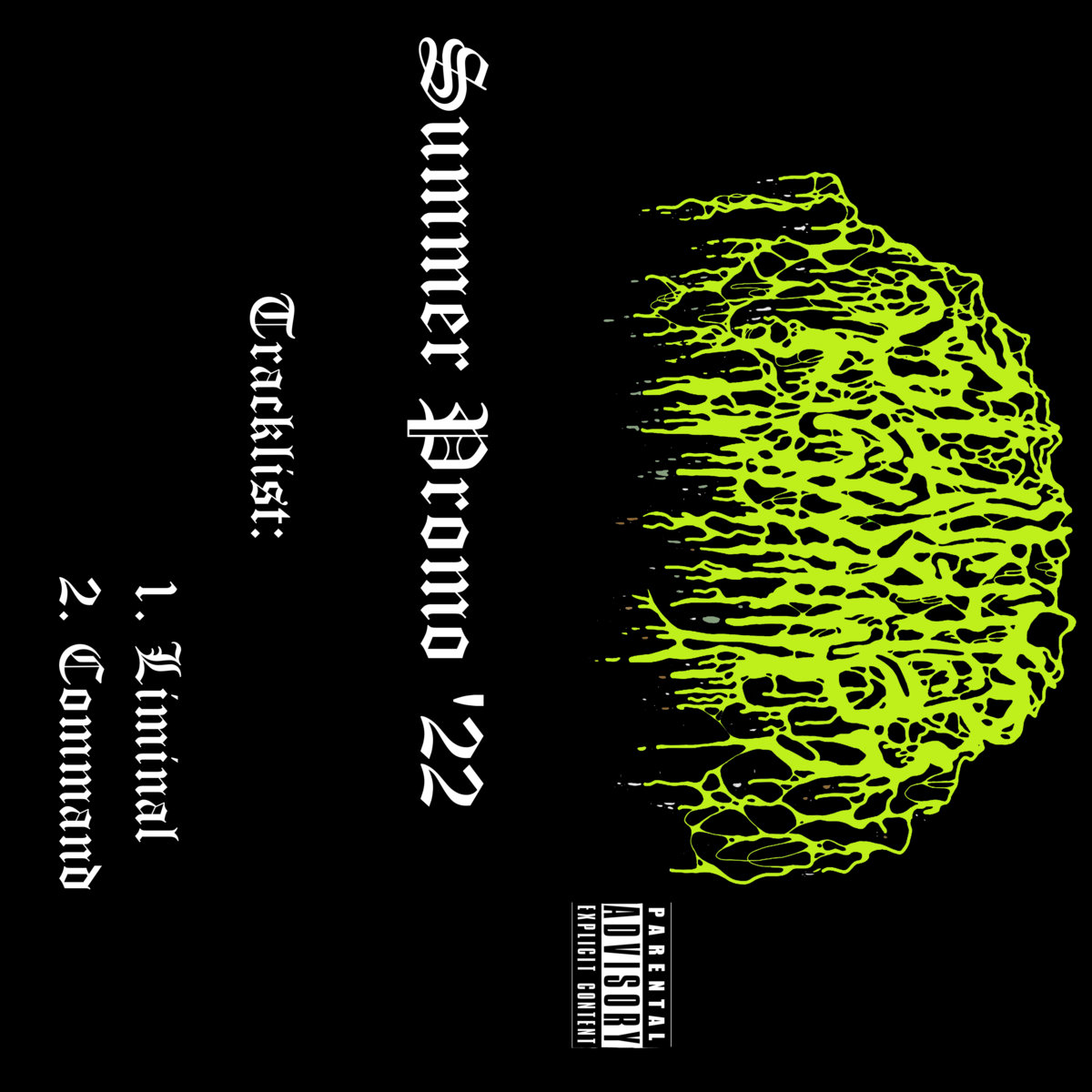 slaughter swamp – summer promo ’22 [demo]