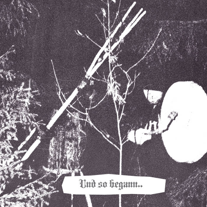 hasswald – und so begann… [ep]