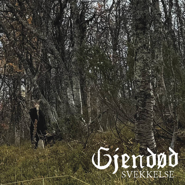 Gjendød – Svekkelse gjendød – svekkelse