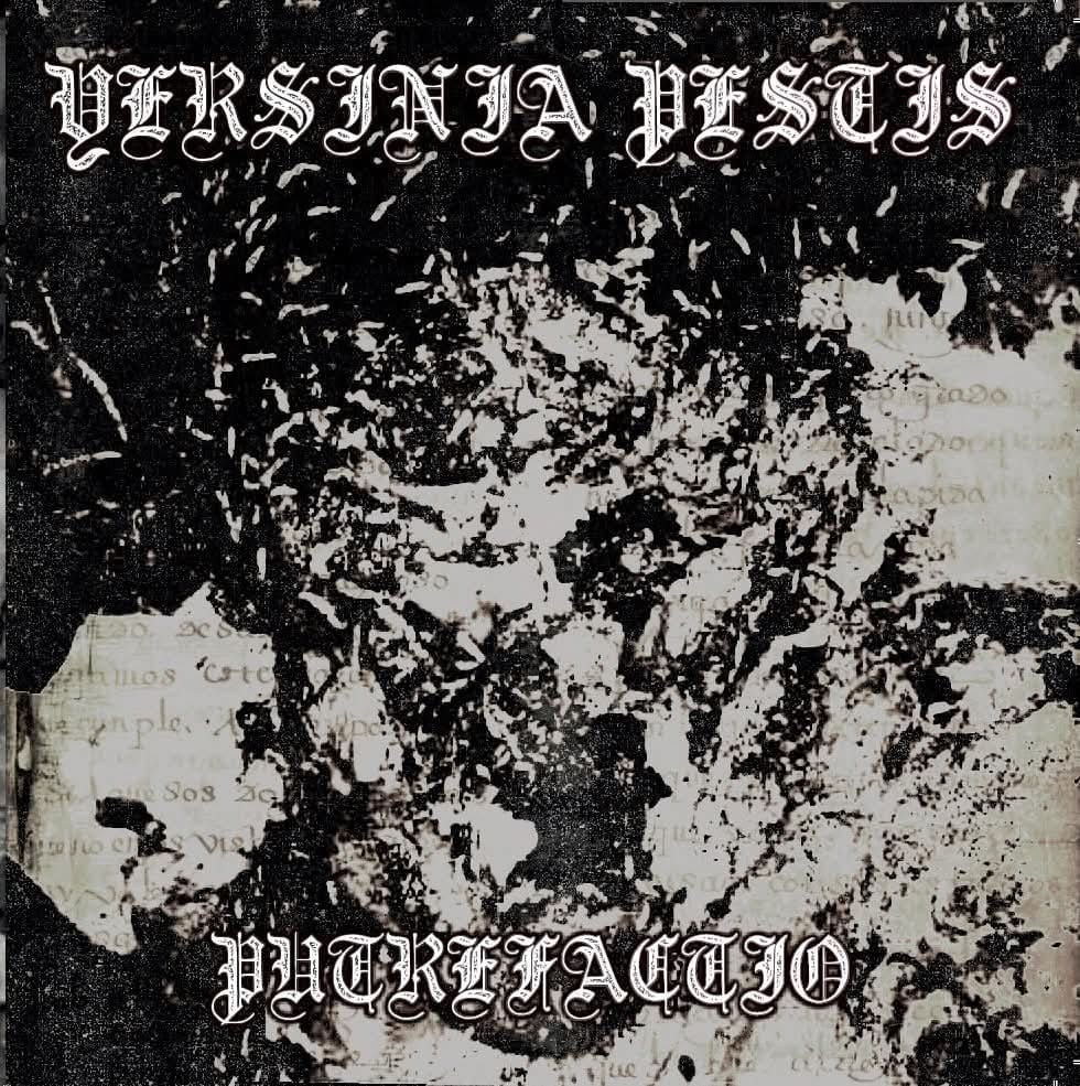 Yersinia Pestis – Putrefactio yersinia pestis – putrefactio